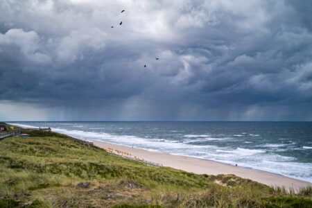 Regen im Süden…  Leica M11-P mit 35mm Summicron